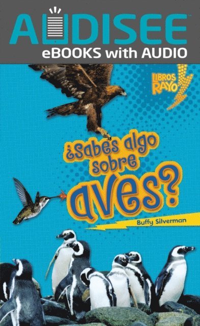Buffy Silverman - ¿Sabes algo sobre aves? (Do You Know about Birds?), E-bok