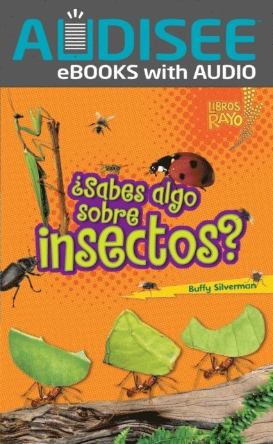 Buffy Silverman - ¿Sabes algo sobre insectos? (Do You Know about Insects?), E-bok