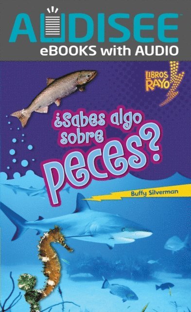 Buffy Silverman - ¿Sabes algo sobre peces? (Do You Know about Fish?), E-bok