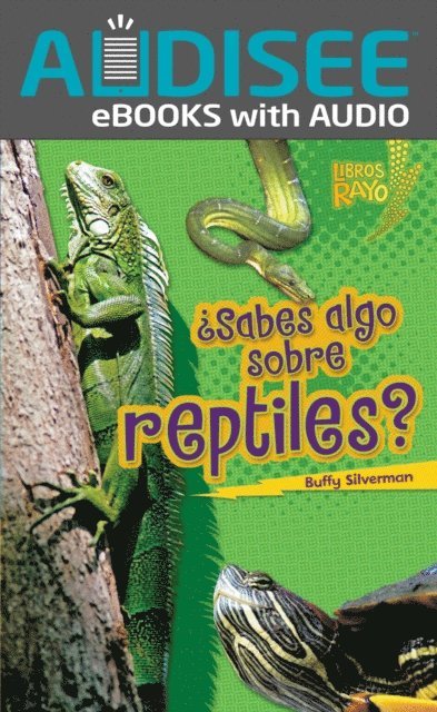 Buffy Silverman - ¿Sabes algo sobre reptiles? (Do You Know about Reptiles?), E-bok