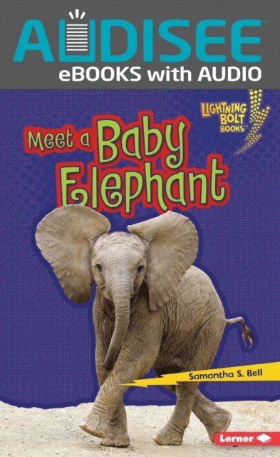 Samantha S. Bell - Meet a Baby Elephant, E-bok