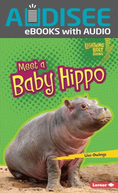 Lisa Owings - Meet a Baby Hippo, E-bok