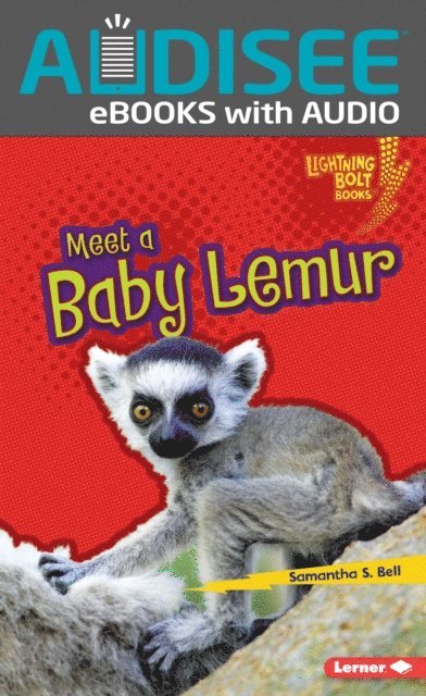 Samantha S. Bell - Meet a Baby Lemur, E-bok