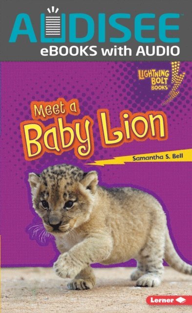 Samantha S. Bell - Meet a Baby Lion, E-bok
