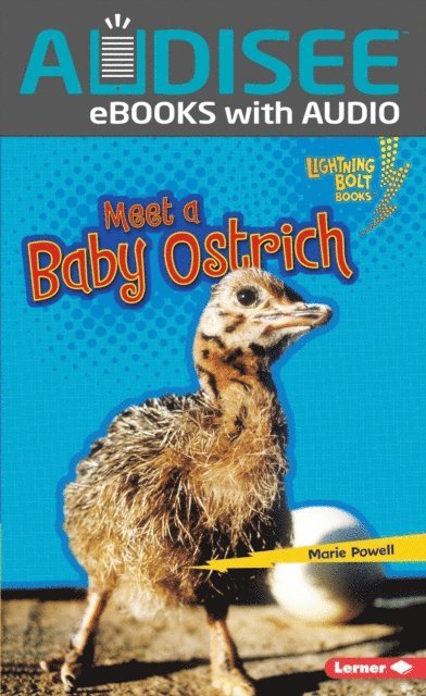 Marie Powell - Meet a Baby Ostrich, E-bok