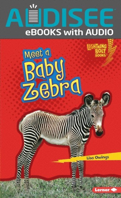 Lisa Owings - Meet a Baby Zebra, E-bok
