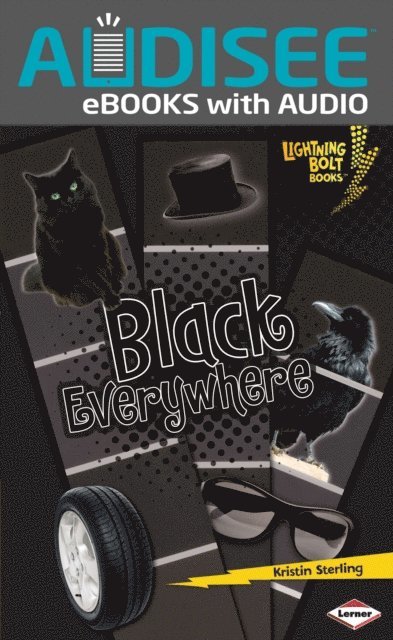 Kristin Sterling - Black Everywhere, E-bok