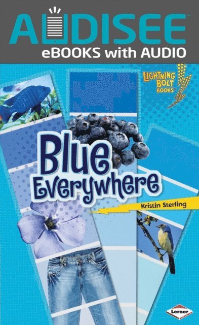 Kristin Sterling - Blue Everywhere, E-bok