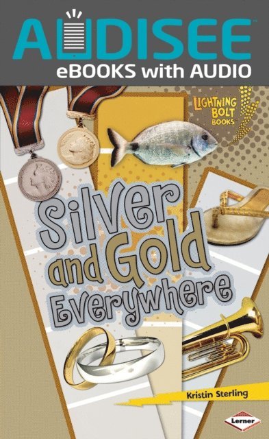 Kristin Sterling - Silver and Gold Everywhere, E-bok