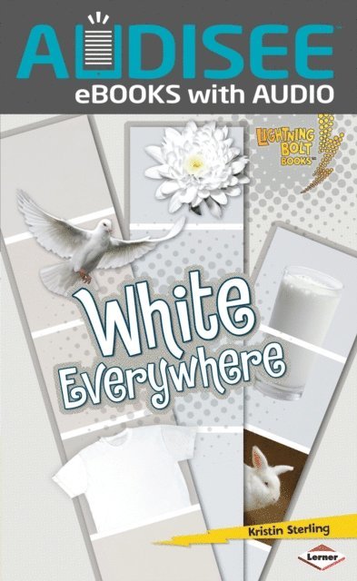 Kristin Sterling - White Everywhere, E-bok