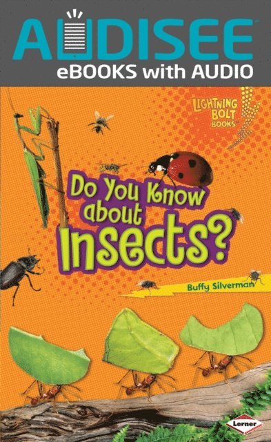 Buffy Silverman - Do You Know about Insects?, E-bok