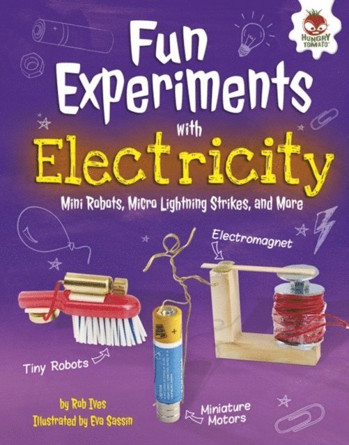 Rob Ives - Fun Experiments with Electricity, E-bok