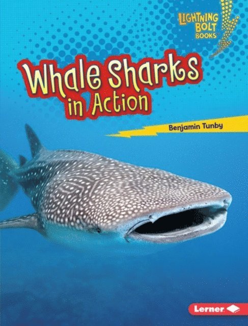 Benjamin Tunby - Whale Sharks in Action, E-bok. Tillgänglighet: Lägg i varukorg
