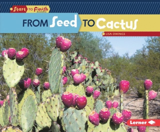 Lisa Owings - From Seed to Cactus, E-bok