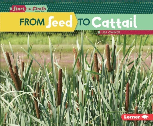Lisa Owings - From Seed to Cattail, E-bok