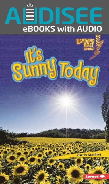 Kristin Sterling - It's Sunny Today, E-bok