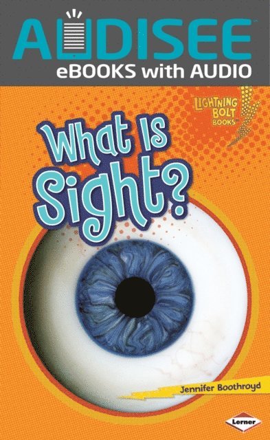 Jennifer Boothroyd - What Is Sight?, E-bok