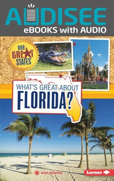 Mary Meinking - What's Great about Florida?, E-bok