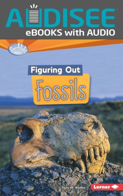 Sally M. Walker - Figuring Out Fossils, E-bok