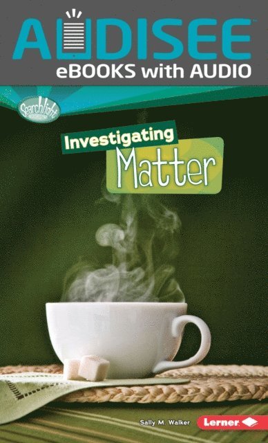 Sally M. Walker - Investigating Matter, E-bok