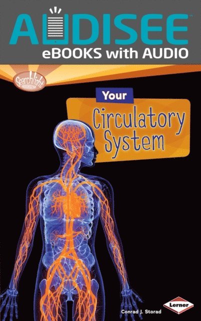 Conrad J. Storad - Your Circulatory System, E-bok