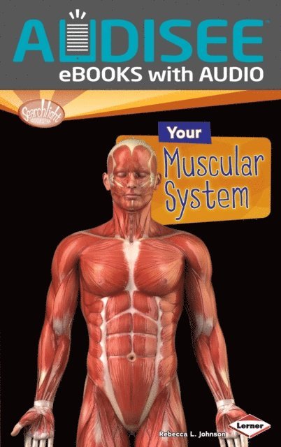 Rebecca L. Johnson - Your Muscular System, E-bok