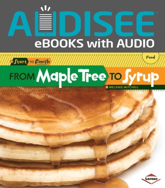 Melanie Mitchell - From Maple Tree to Syrup, E-bok