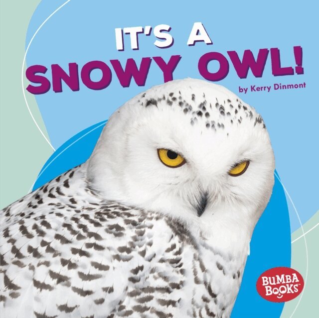 Kerry Dinmont - It's a Snowy Owl!, E-bok. Tillgänglighet: Lägg i varukorg