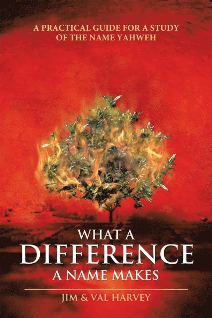 Val Harvey, Jim - What a Difference a Name Makes, E-bok