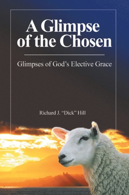 Richard J. Hill - Glimpse of the Chosen, E-bok