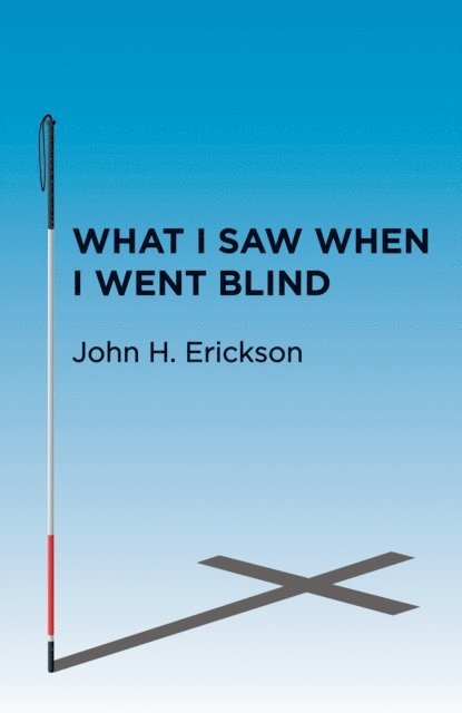 John H. Erickson - What I Saw When I Went Blind, E-bok