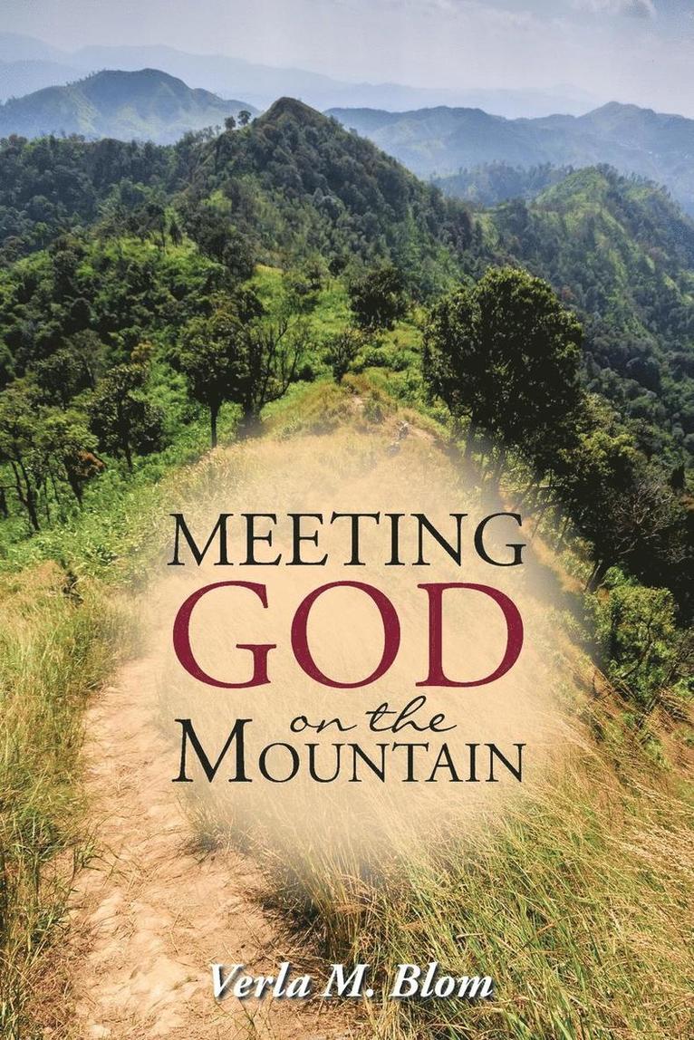 Verla M Blom - Meeting God on the Mountain, Häftad. Tillgänglighet: Lägg i varukorg