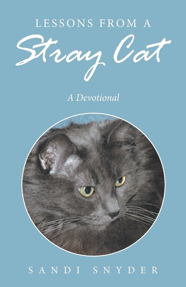 Sandi Snyder - Lessons from a Stray Cat, Häftad. Tillgänglighet: Lägg i varukorg