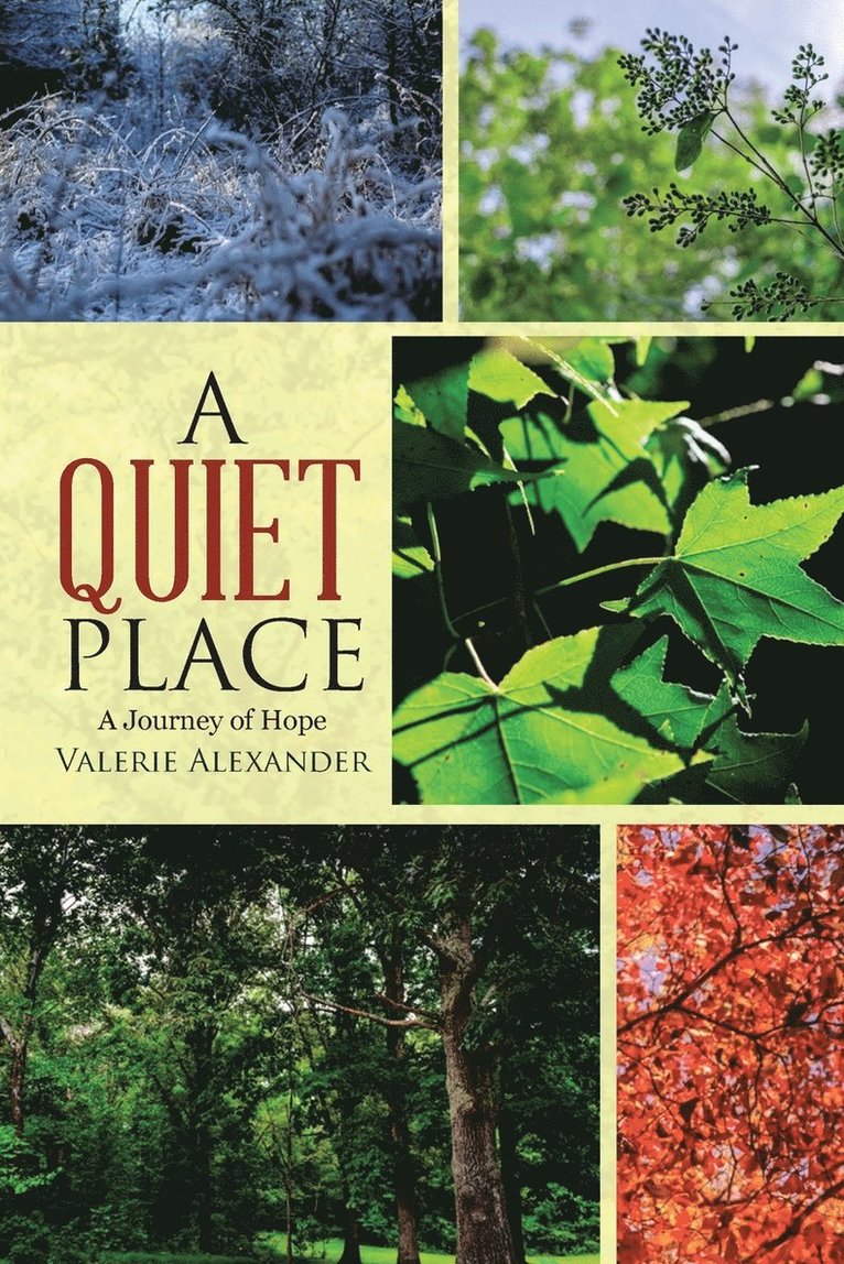 Valerie Alexander - Quiet Place, Häftad