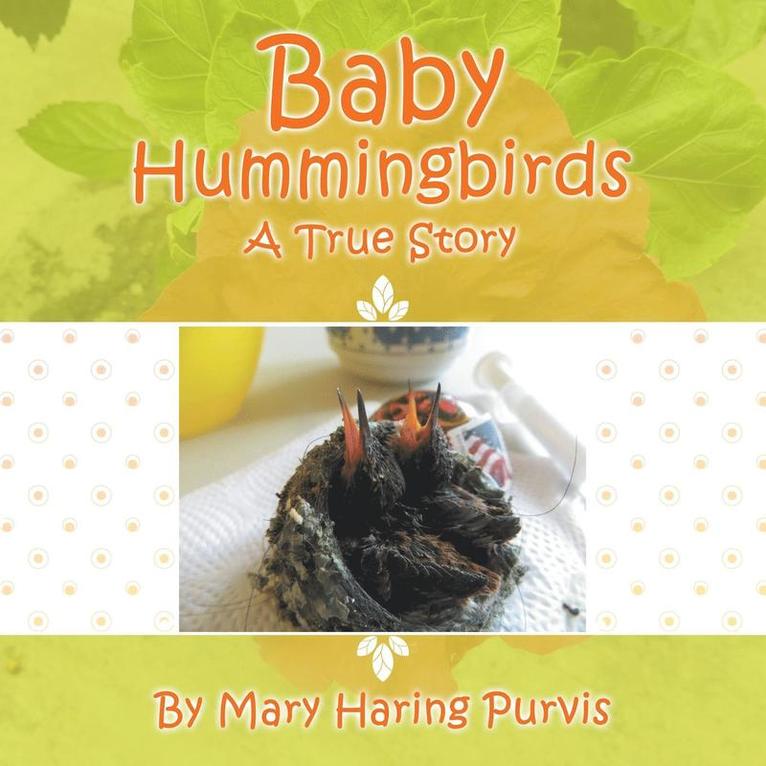 Mary Haring Purvis - Baby Hummingbirds, Häftad. Tillgänglighet: Lägg i varukorg