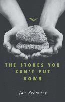 Joe Stewart - The Stones You Can't Put Down, Häftad