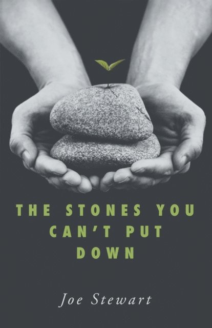 Joe Stewart - Stones You Can't Put Down, E-bok