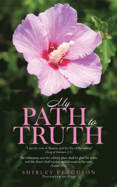 Shirley Ferguson - My Path to Truth / Unseen Angels Heavenly Encounters, E-bok