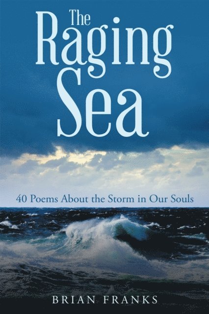 Brian Franks - Raging Sea, E-bok