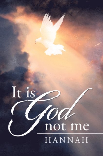 Hannah - It Is God Not Me, E-bok