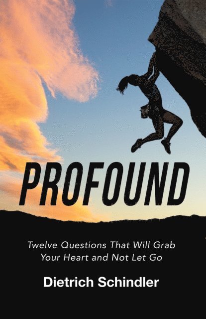 Dietrich Schindler - Profound, E-bok