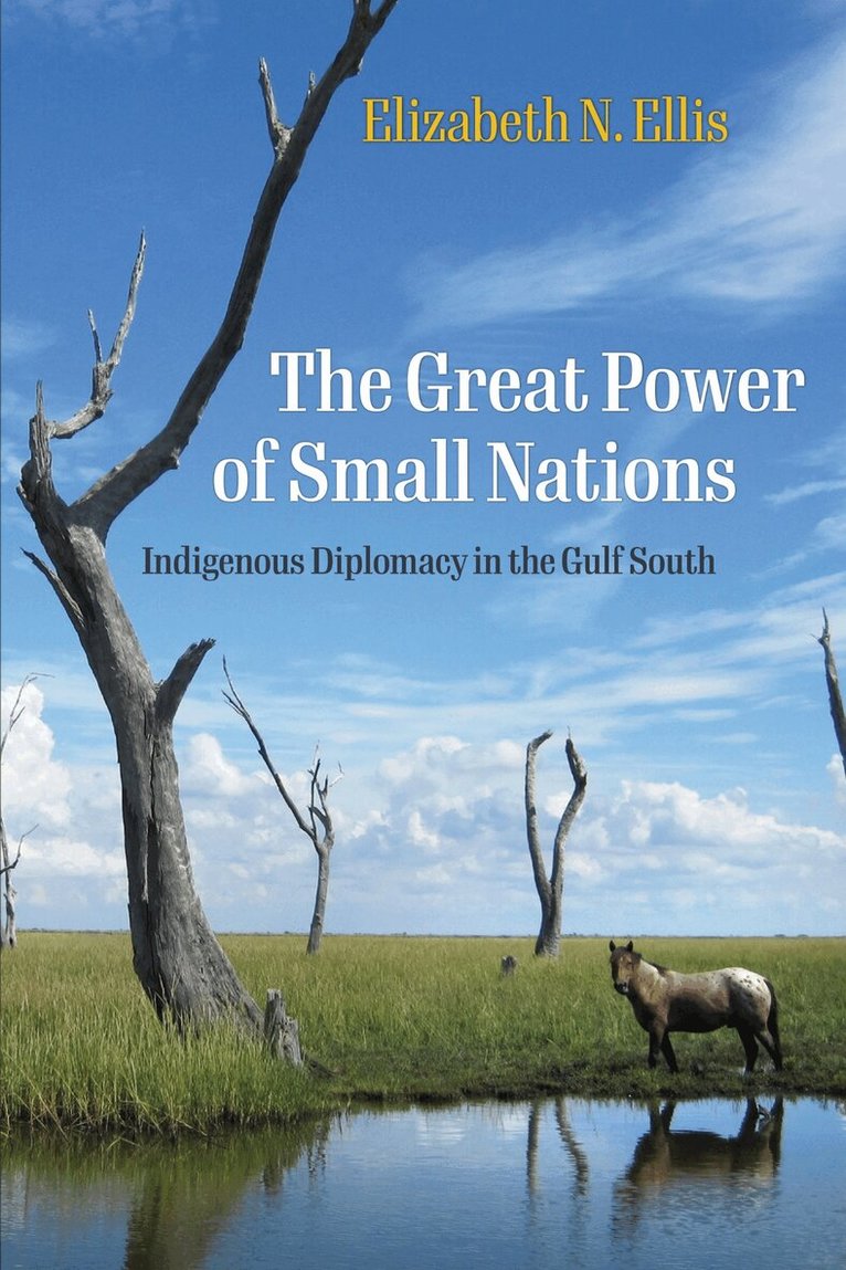 Elizabeth N. Ellis - Great Power of Small Nations, Inbunden. Tillgänglighet: Lägg i varukorg