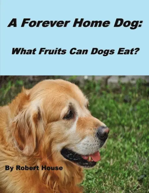 Robert House - Forever Home Dog:What Fruits Can Dogs Eat?, E-bok. Tillgänglighet: Lägg i varukorg