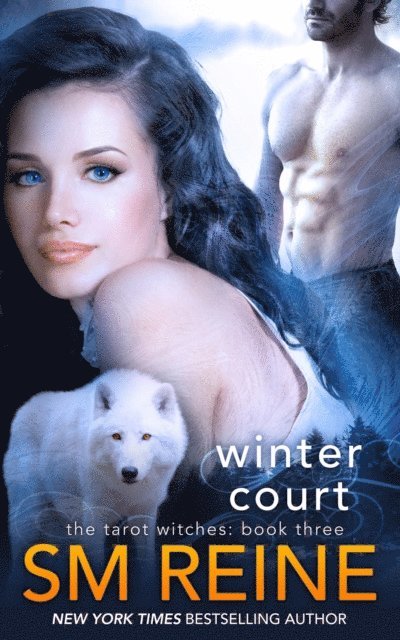 SM Reine - Winter Court, E-bok