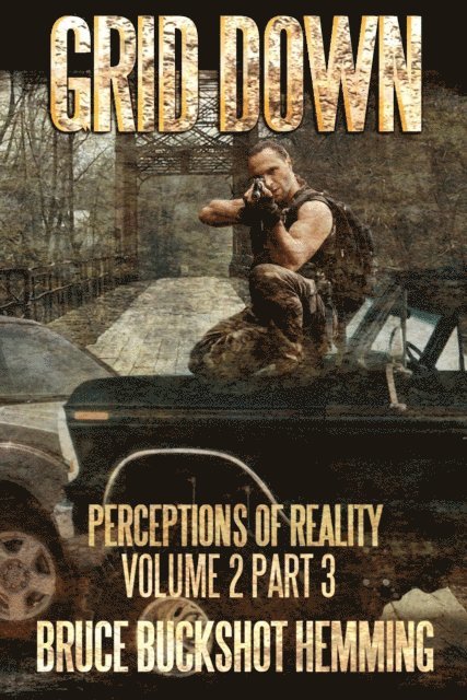 Bruce Buckshot Hemming - Grid Down Perceptions of Reality, E-bok
