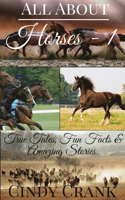 All About Horses -1