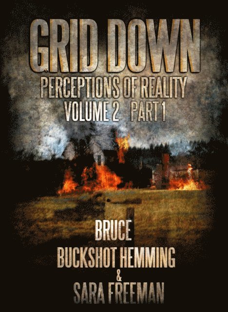 Bruce Buckshot Hemming - Grid Down Perceptions Of Reality, E-bok