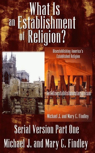 Mary C. Findley, Michael J. Findley - What is an Establishment of Religion?, E-bok