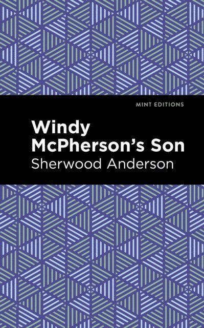 Sherwood Anderson - Windy McPherson's Son, E-bok