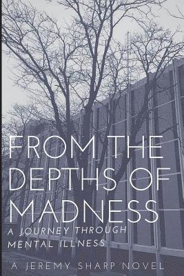 Heather Wilde - From the Depths of Madness: A Journey Through Mental Illness, Häftad